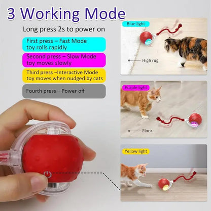 Automatic Interactive Cat Toy Ball for Indoor Use - Fast Rolling, Chirping, and Motion-Activated
