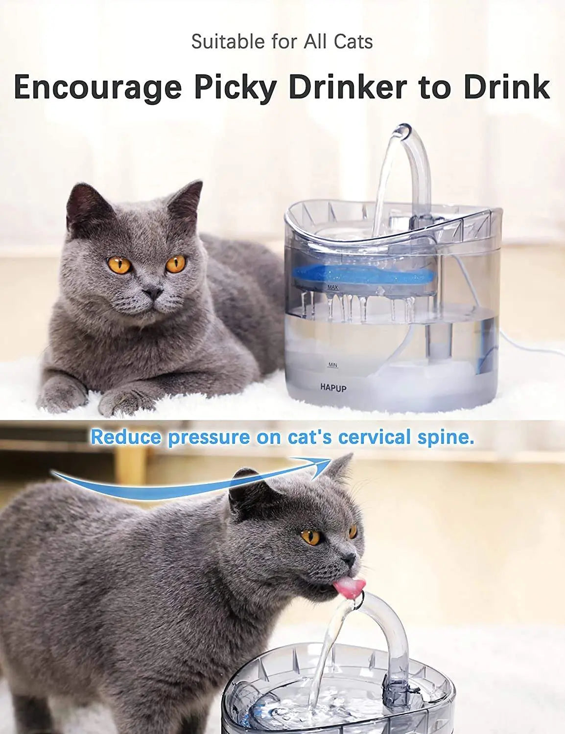 Cat Water Fountain Animal Water Dispenser