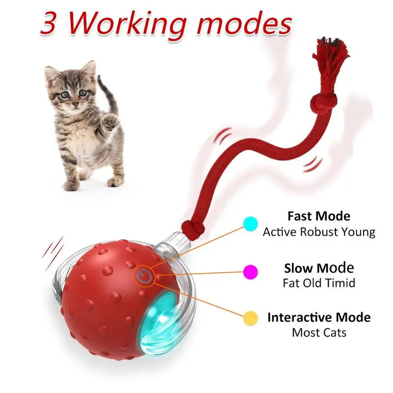 Automatic Interactive Cat Toy Ball for Indoor Use - Fast Rolling, Chirping, and Motion-Activated